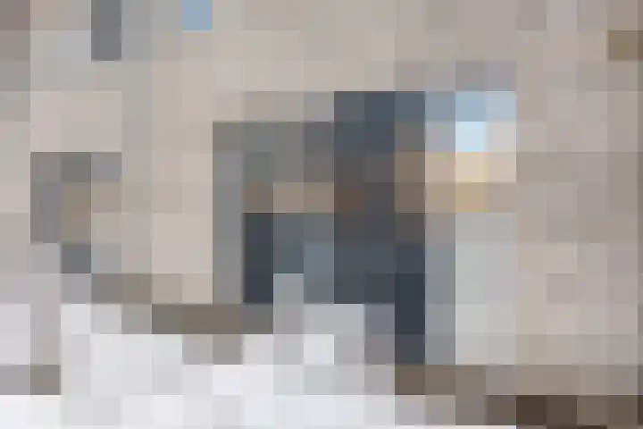 Poldermolenpad 20 Zwolle thumbnail 13