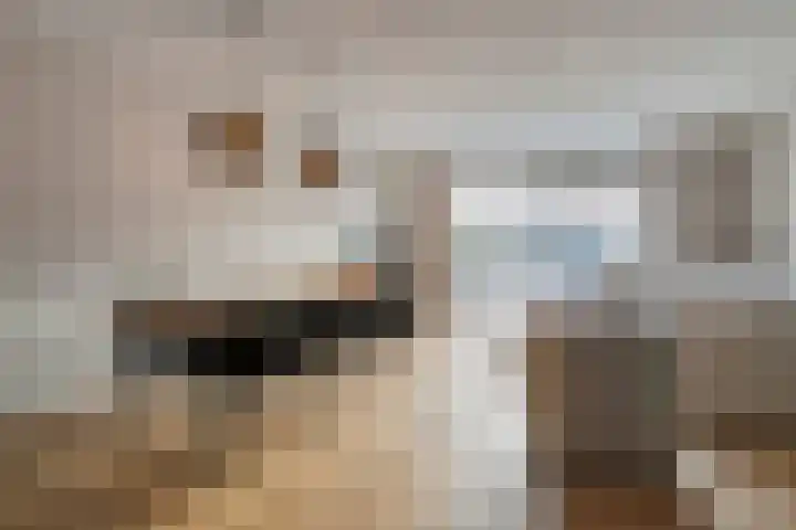 Poldermolenpad 20 Zwolle thumbnail 22