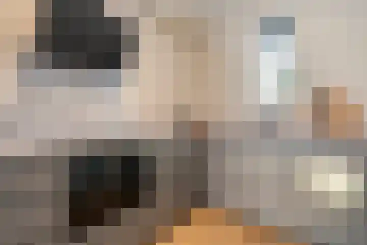Poldermolenpad 20 Zwolle thumbnail 27