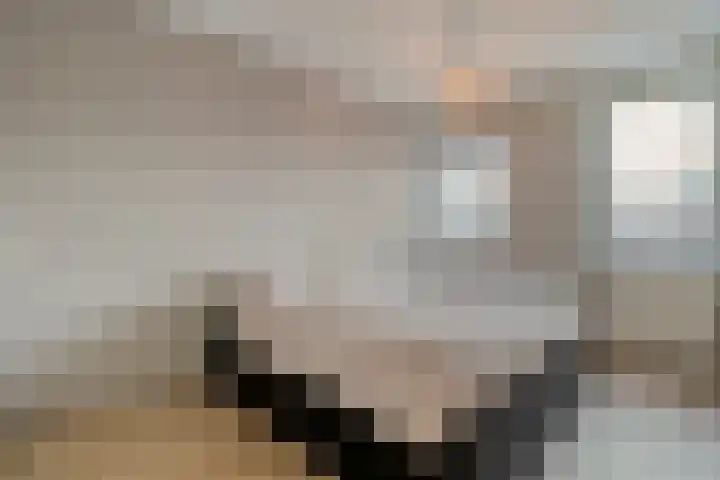 Poldermolenpad 20 Zwolle thumbnail 31