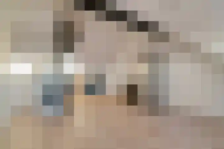 Poldermolenpad 20 Zwolle thumbnail 43