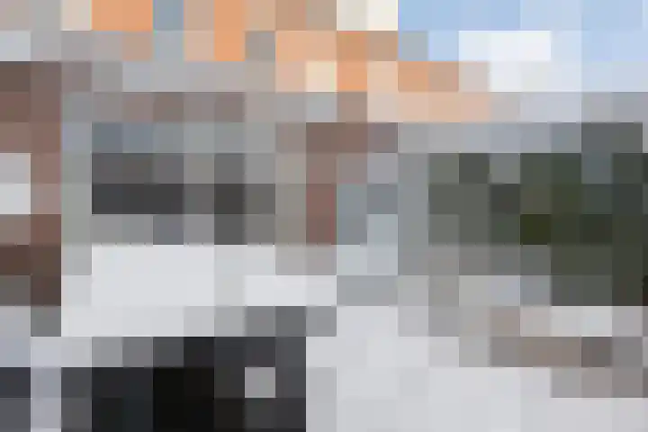 Poldermolenpad 20 Zwolle thumbnail 44