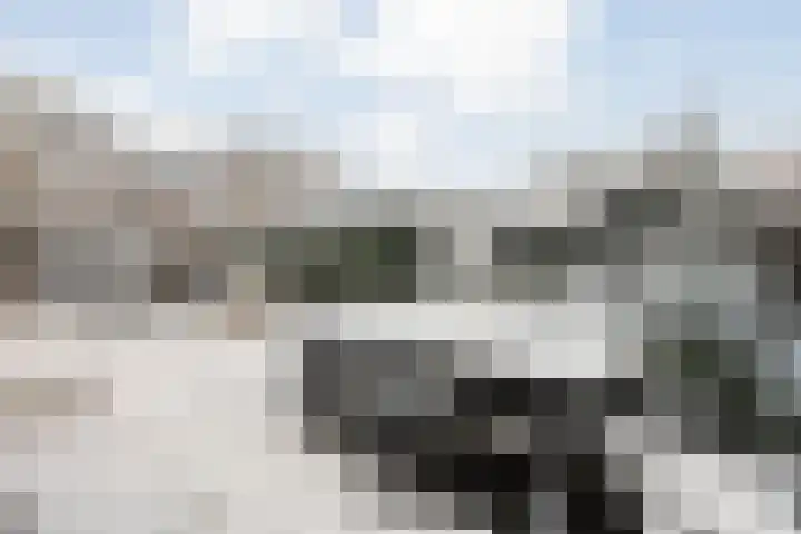 Poldermolenpad 20 Zwolle thumbnail 45