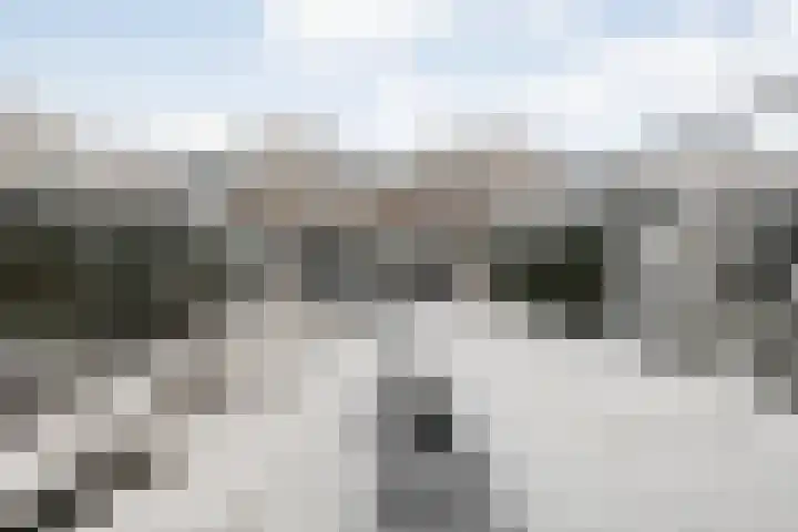 Poldermolenpad 20 Zwolle thumbnail 46
