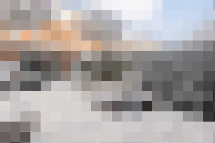Poldermolenpad 20 Zwolle thumbnail 50