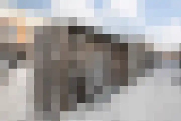 Poldermolenpad 20 Zwolle thumbnail 51