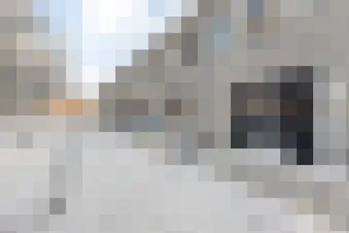 Poldermolenpad 20 Zwolle thumbnail 8
