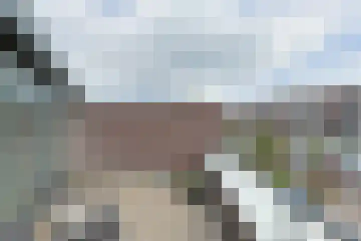 Polderpeil 129 Alphen aan den Rijn thumbnail 44