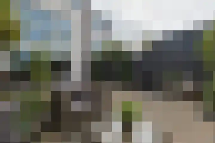 Polderpeil 129 Alphen aan den Rijn thumbnail 54
