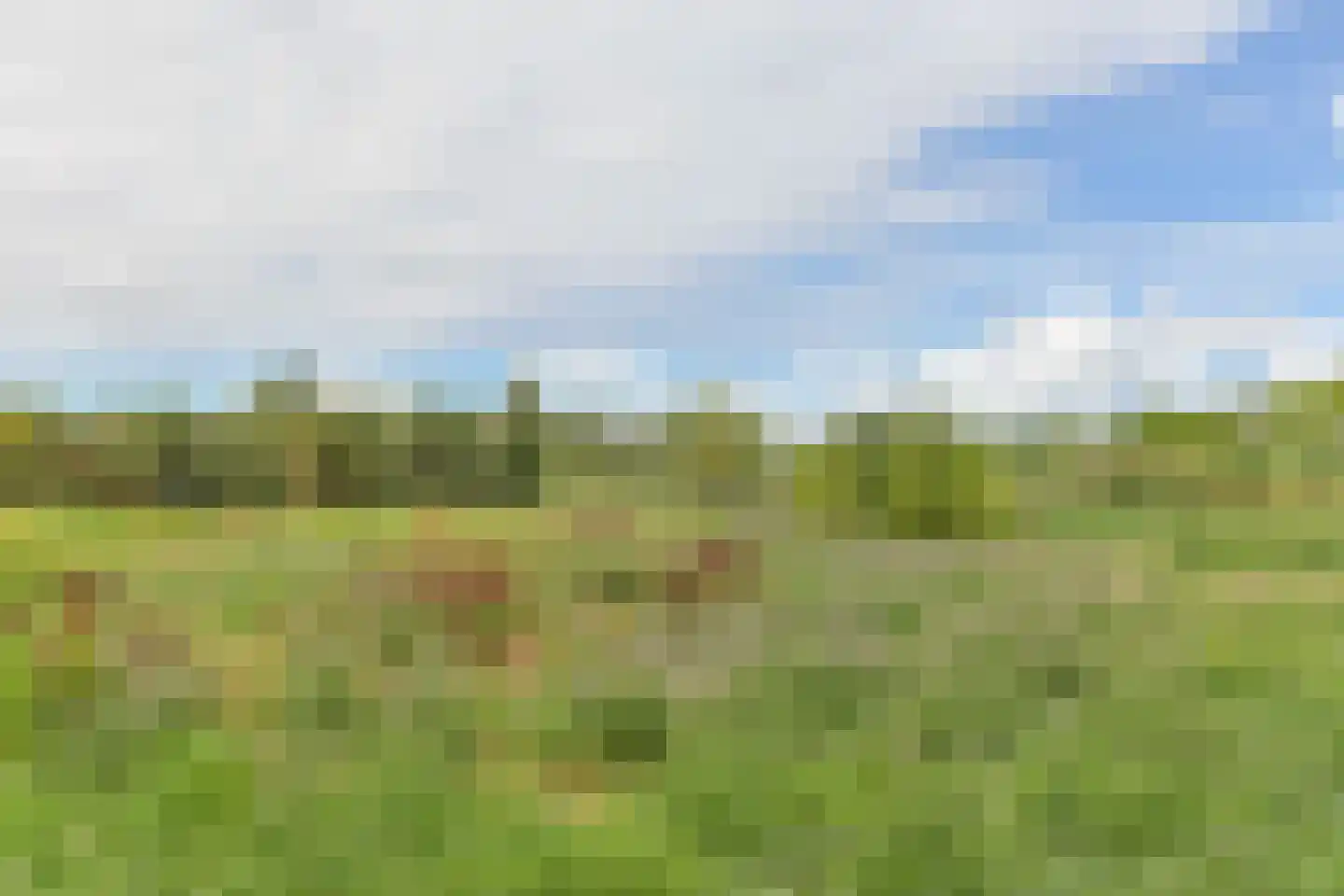 Polderpeil 18 Alphen aan den Rijn thumbnail 47