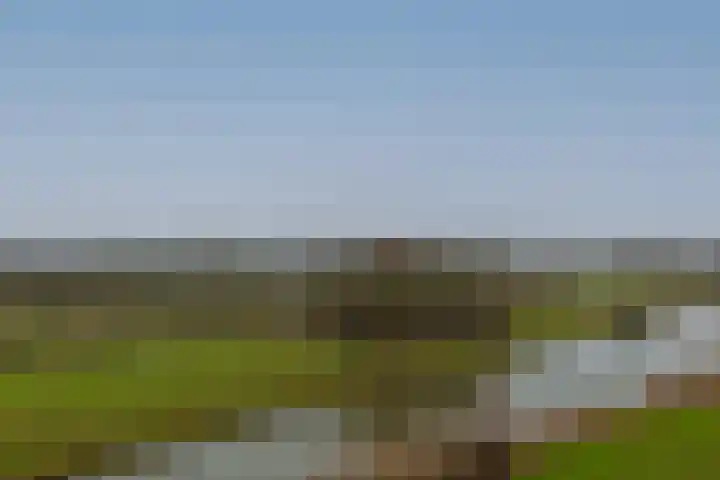 Polderpeil 294 Alphen aan den Rijn thumbnail 45