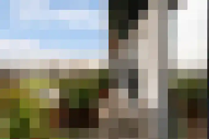 Polderpeil 296 Alphen aan den Rijn thumbnail 34