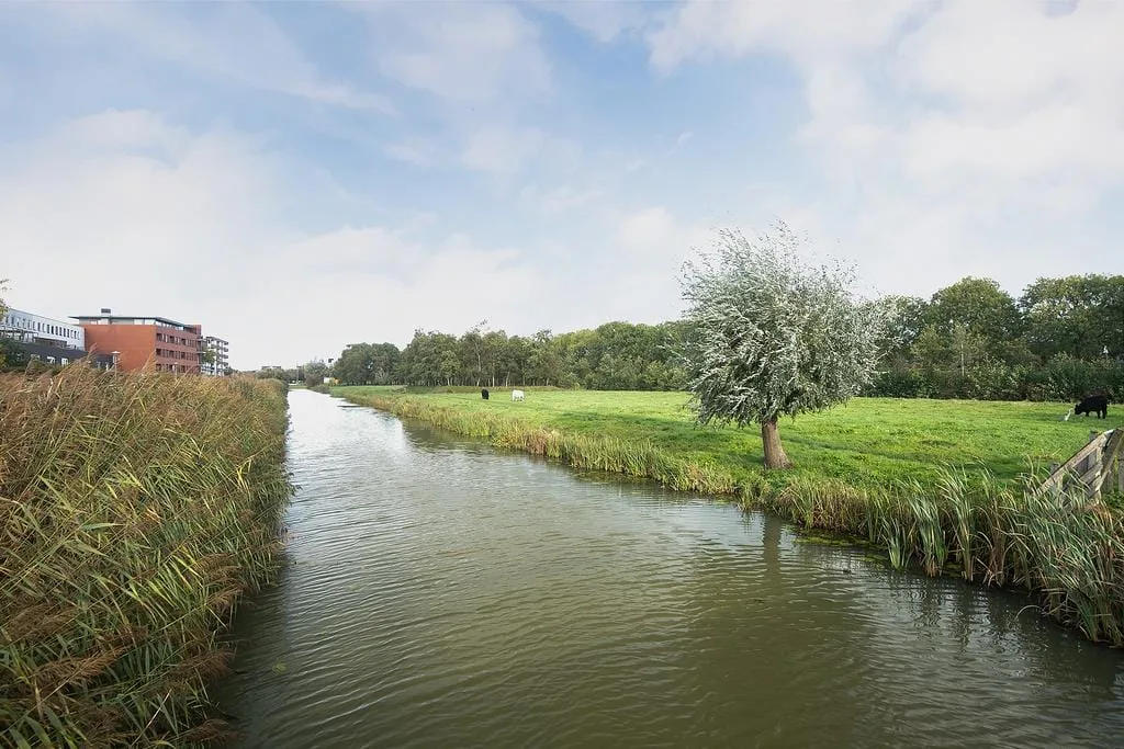 Polderpeil 350 Alphen aan den Rijn thumbnail 15