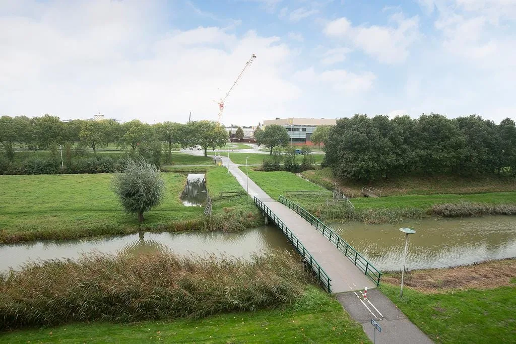 Polderpeil 350 Alphen aan den Rijn foto 3