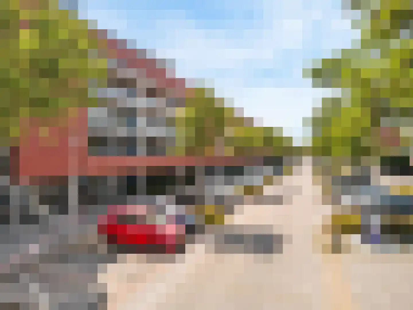 Polderpeil 402 Alphen aan den Rijn thumbnail 20
