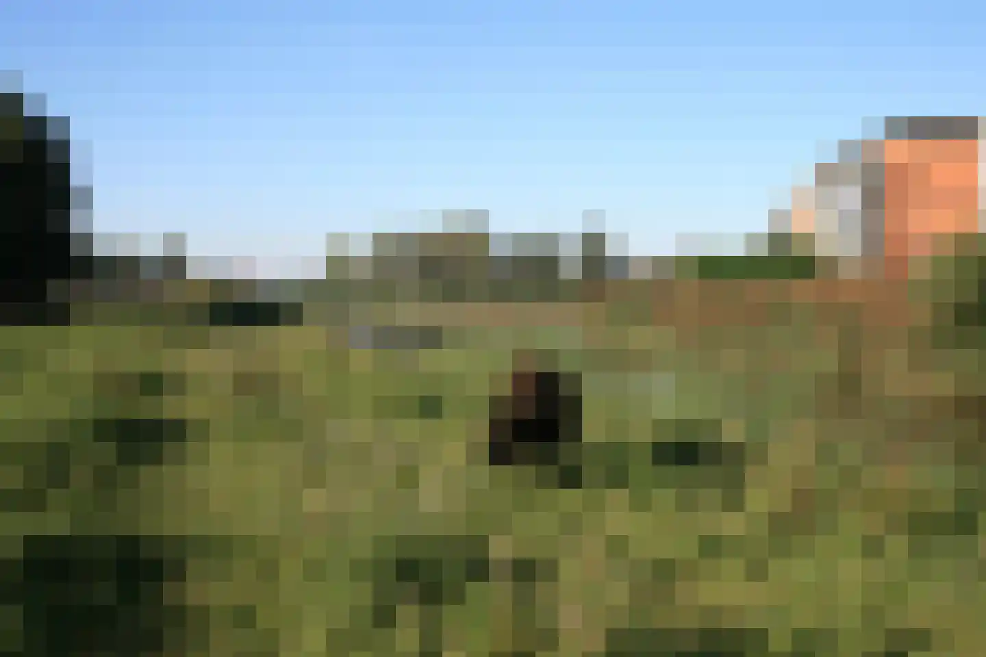 Polderpeil 402 Alphen aan den Rijn thumbnail 24