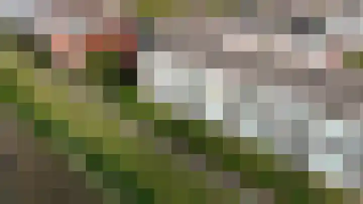 Polderpeil 430 in Alphen aan den Rijn