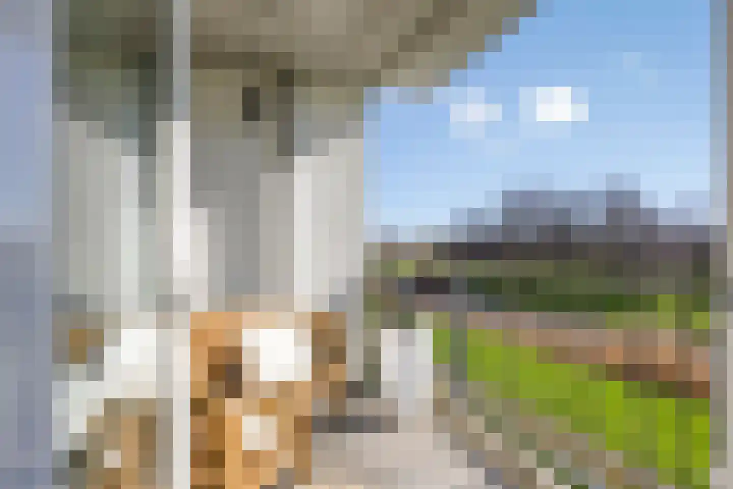 Polderpeil 482 Alphen aan den Rijn thumbnail 31