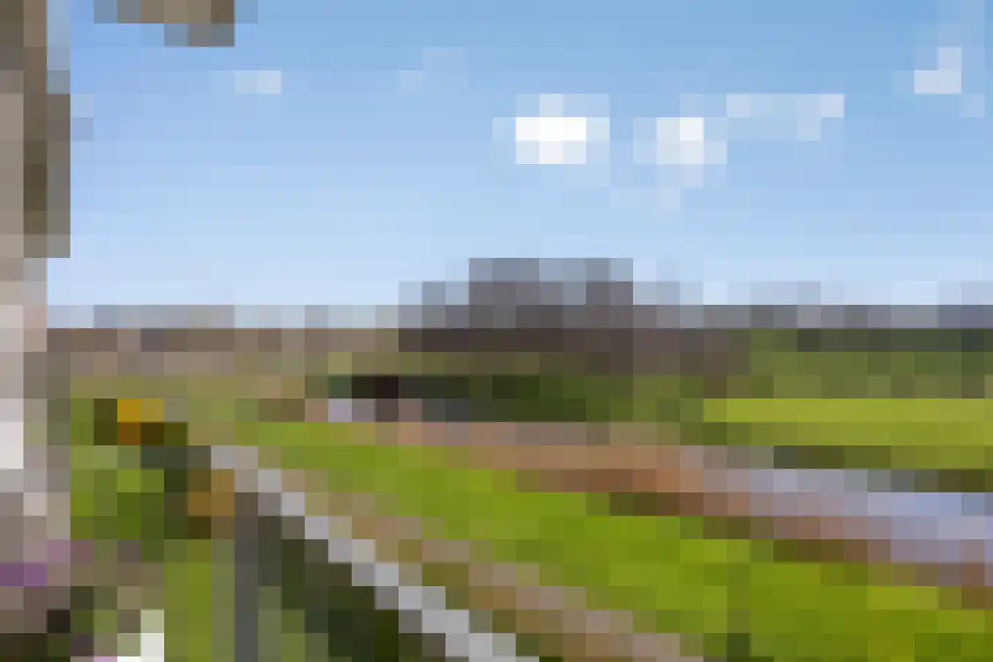 Polderpeil 482 Alphen aan den Rijn thumbnail 33