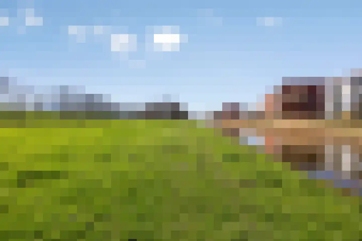 Polderpeil 482 Alphen aan den Rijn thumbnail 37