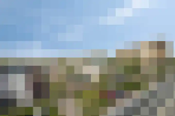 Polderpeil 522 Alphen aan den Rijn thumbnail 10