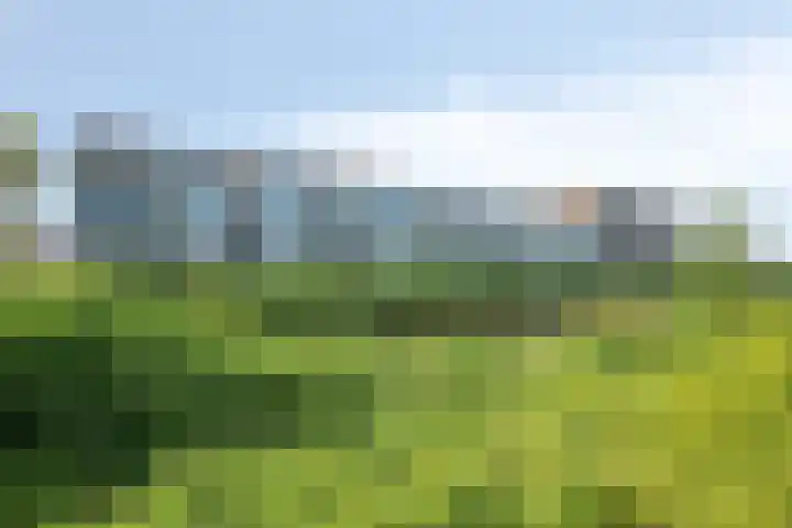 Polderpeil 522 Alphen aan den Rijn thumbnail 31