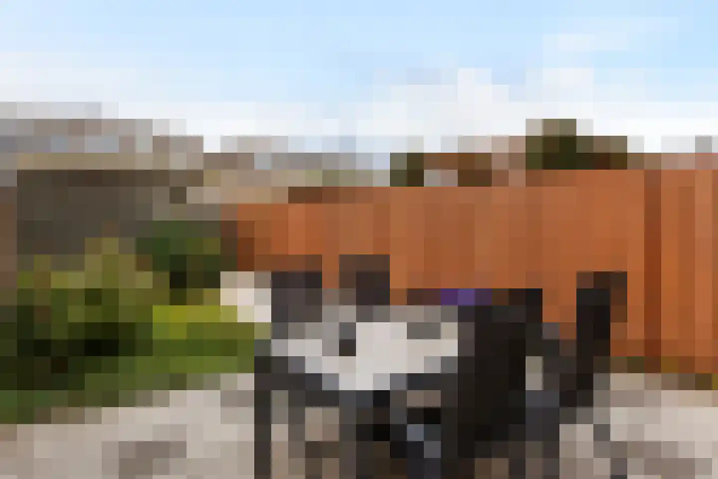 Polderpeil 61 Alphen aan den Rijn thumbnail 11