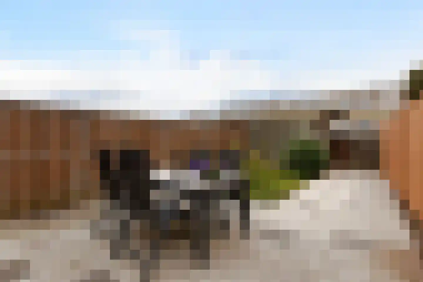 Polderpeil 61 Alphen aan den Rijn thumbnail 12