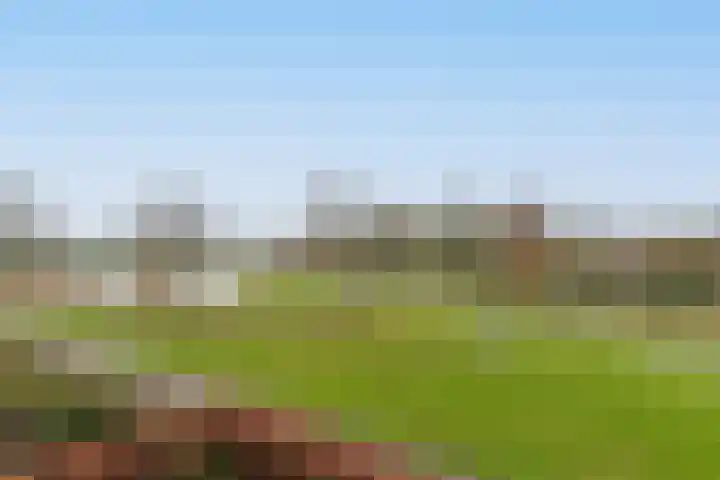Polderpeil 82 Alphen aan den Rijn thumbnail 39