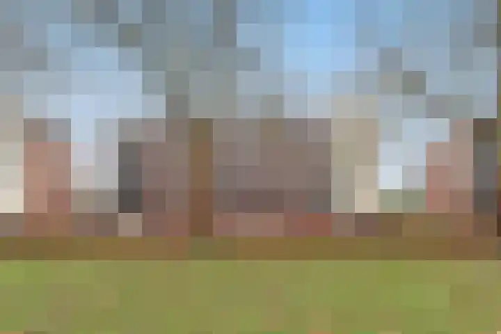 Polderpeil 82 Alphen aan den Rijn thumbnail 4