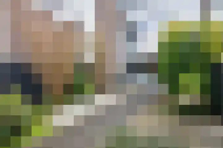 Polderpeil 93 Alphen aan den Rijn thumbnail 23
