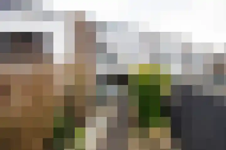 Polderpeil 93 Alphen aan den Rijn thumbnail 25