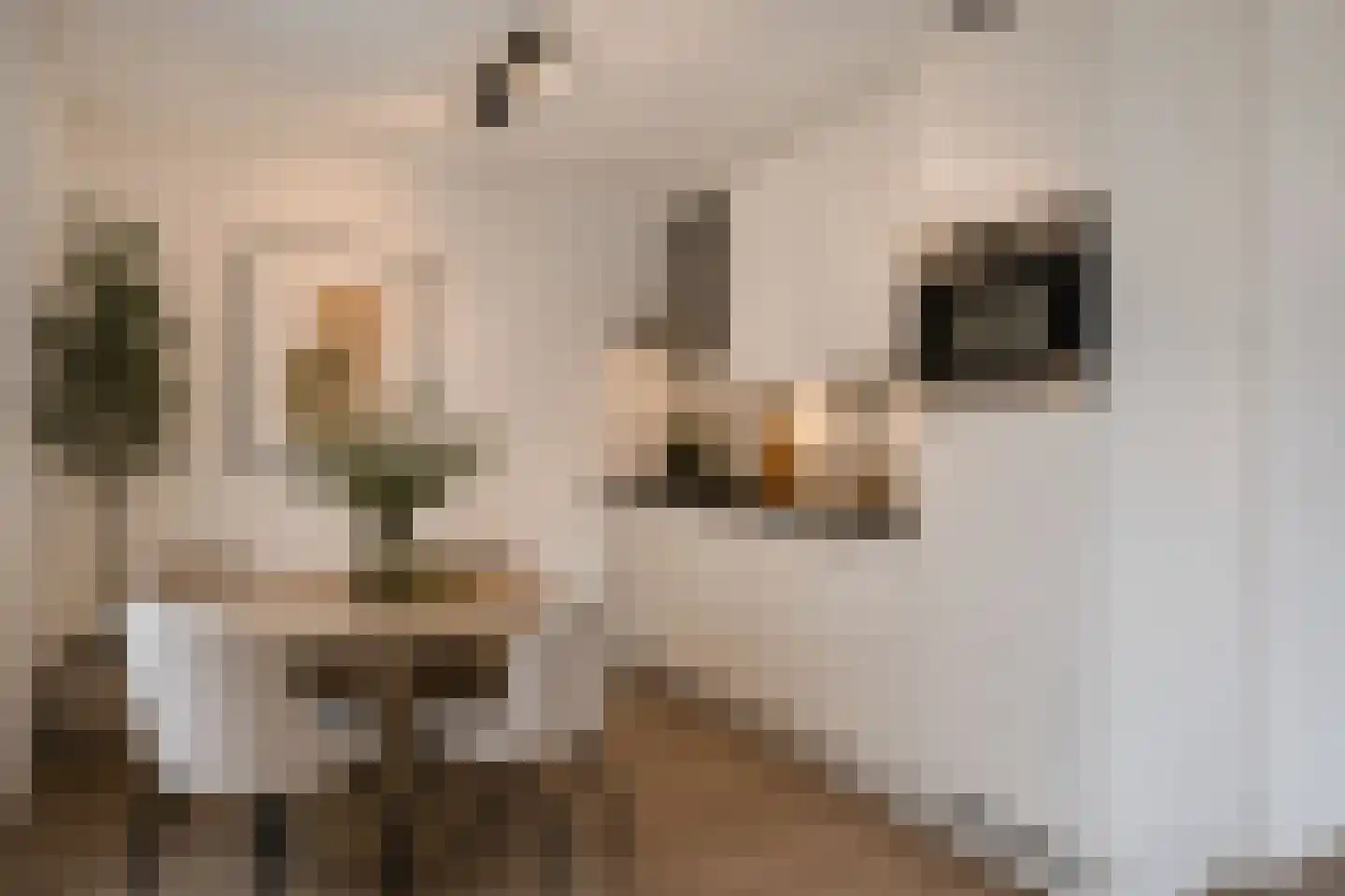 Polderplein 139 Hoofddorp thumbnail 8