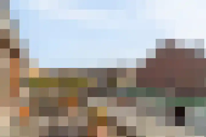 Polderplein 3 Benthuizen thumbnail 28