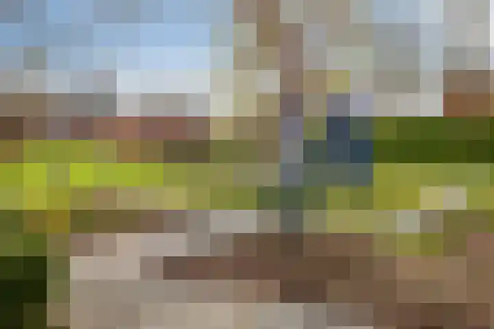 Polderplein 3 Benthuizen thumbnail 33