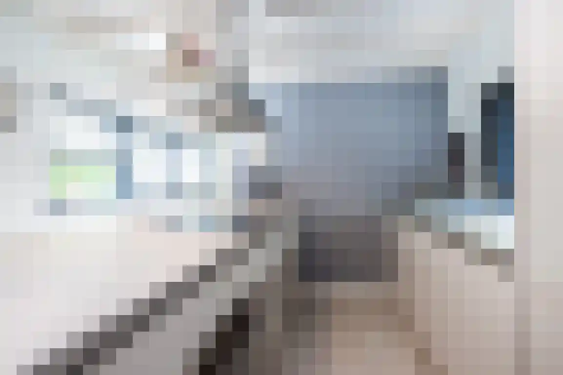 Poldersbos 8 Ouddorp thumbnail 10