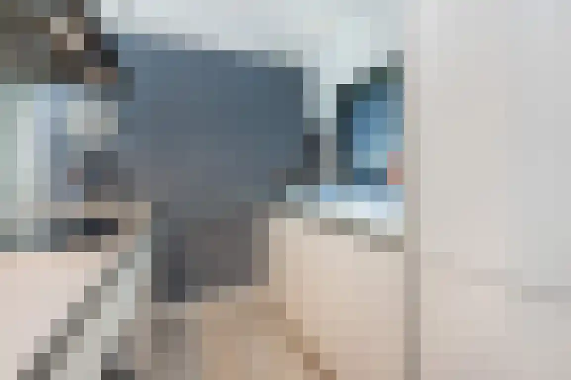 Poldersbos 8 Ouddorp thumbnail 11