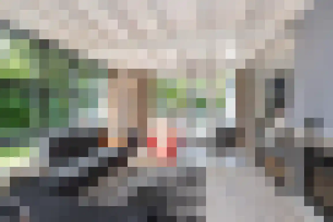 Poldersbos 8 Ouddorp thumbnail 13