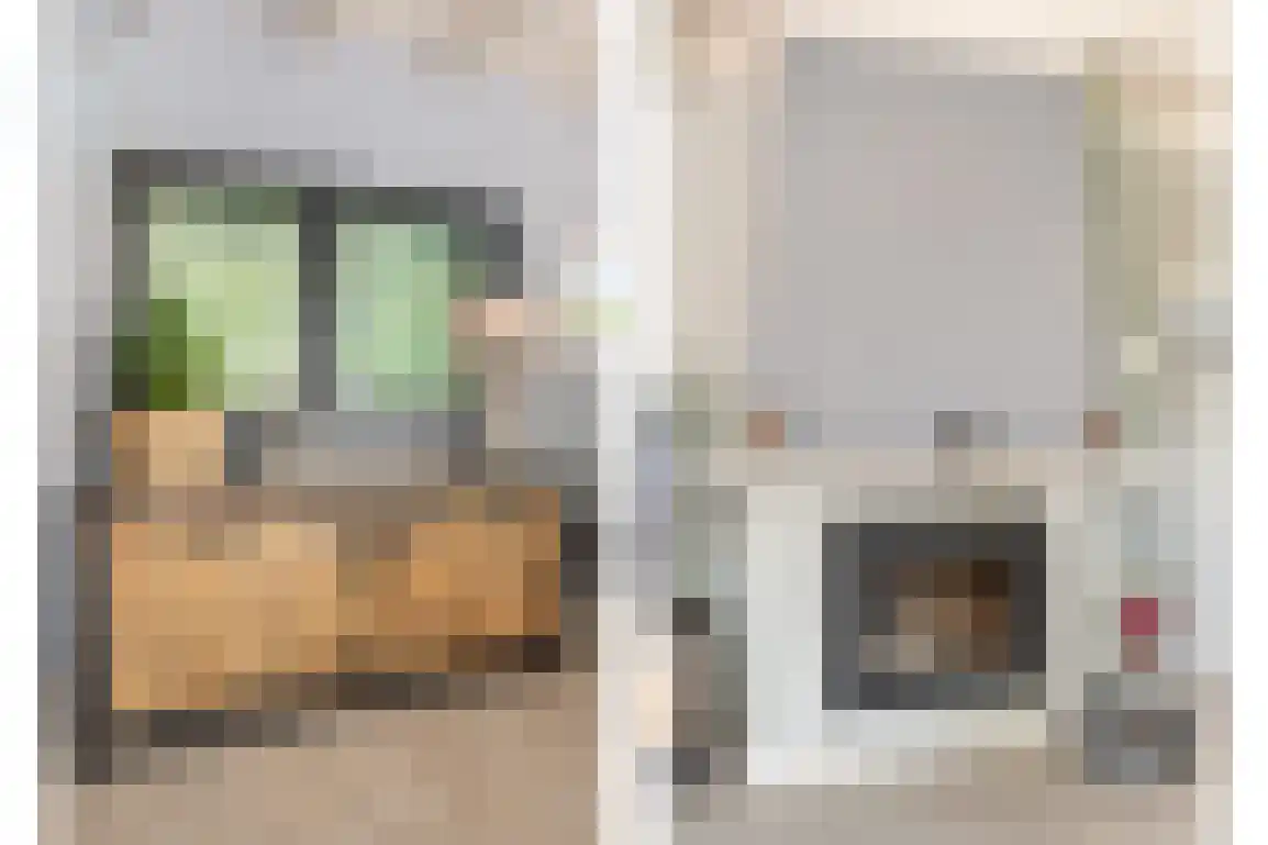 Poldersbos 8 Ouddorp thumbnail 15