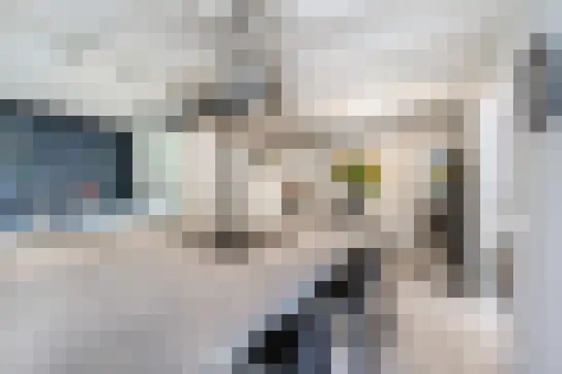 Poldersbos 8 Ouddorp thumbnail 17