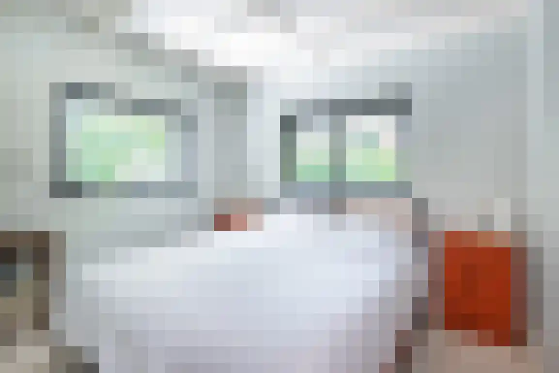 Poldersbos 8 Ouddorp thumbnail 18