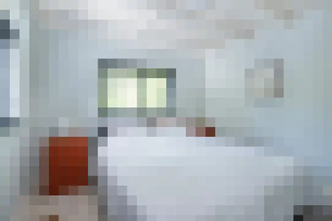 Poldersbos 8 Ouddorp thumbnail 19
