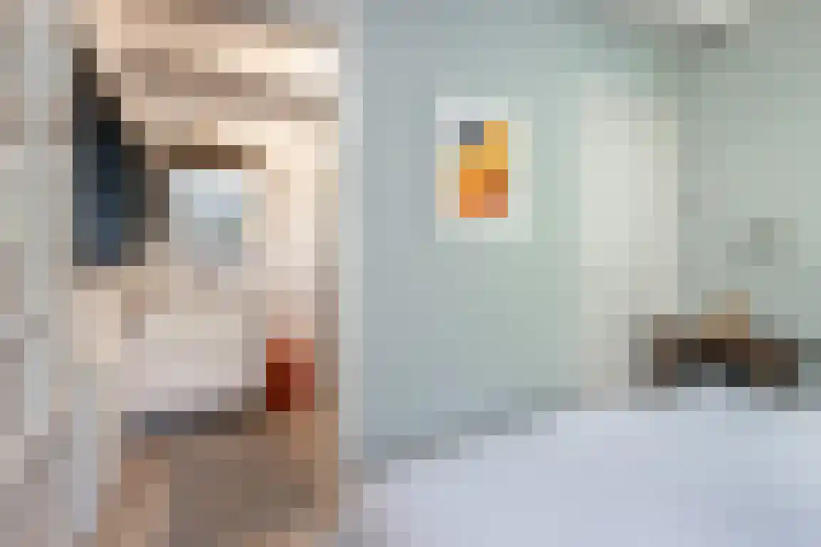 Poldersbos 8 Ouddorp thumbnail 20