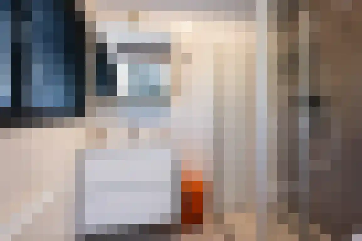 Poldersbos 8 Ouddorp thumbnail 21