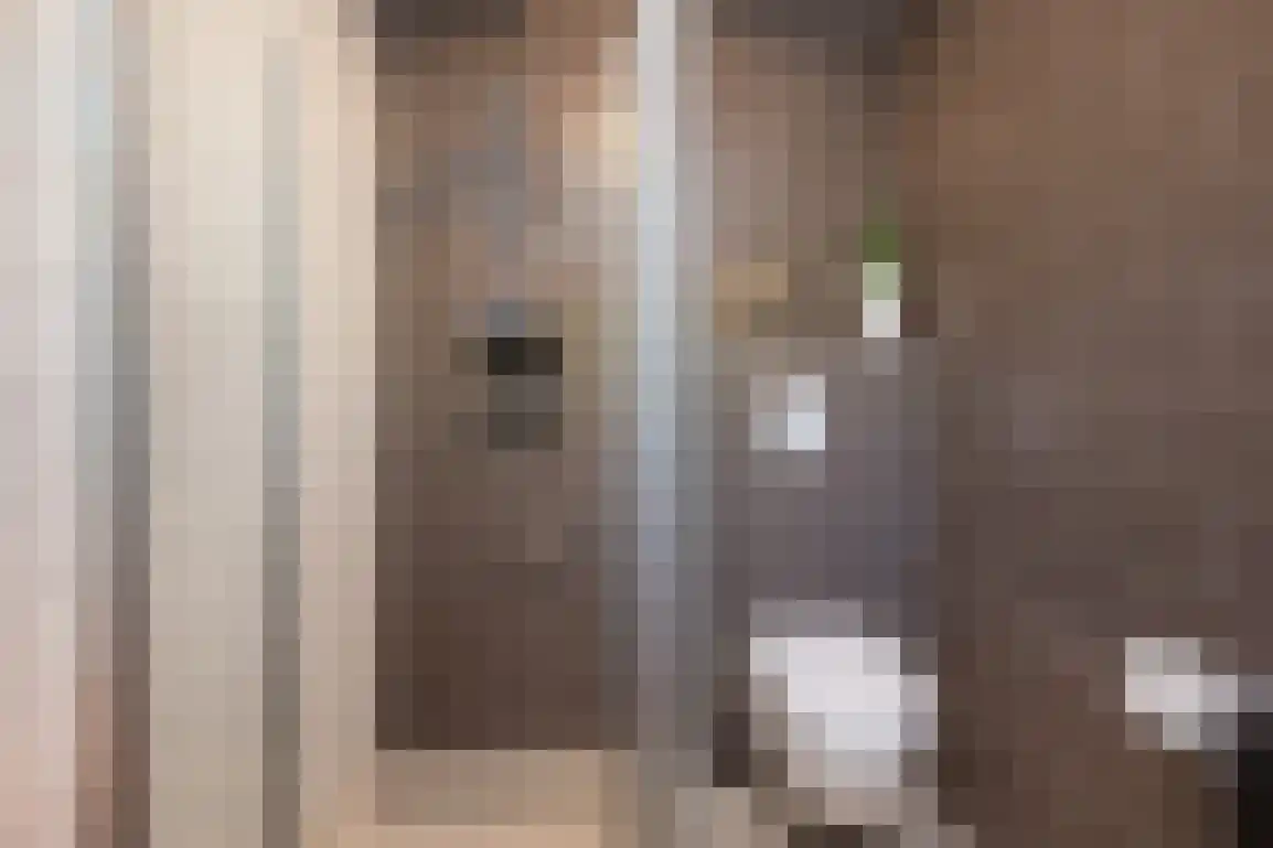 Poldersbos 8 Ouddorp thumbnail 22