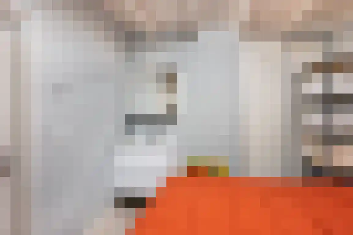 Poldersbos 8 Ouddorp thumbnail 27