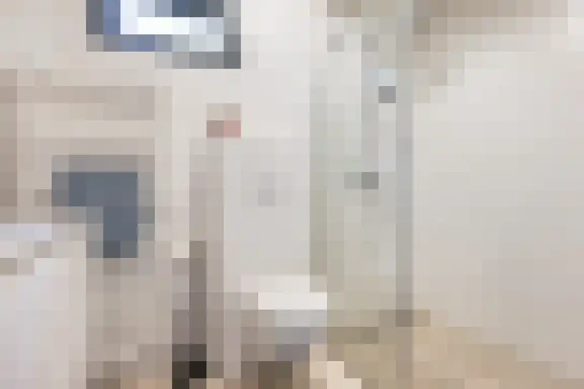 Poldersbos 8 Ouddorp thumbnail 28