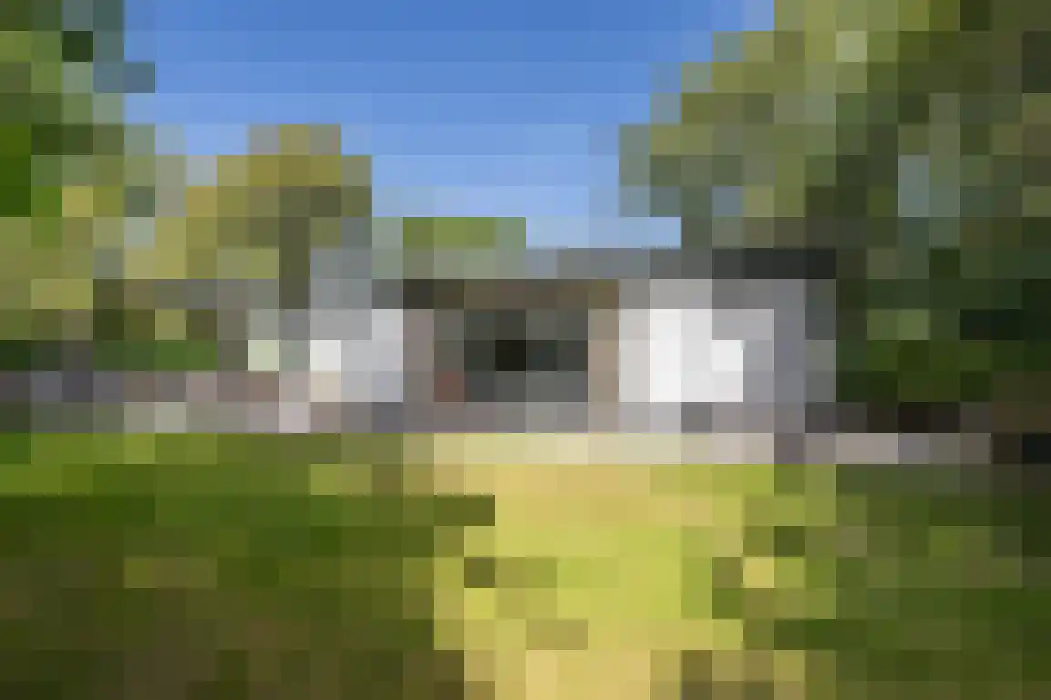 Poldersbos 8 Ouddorp thumbnail 30