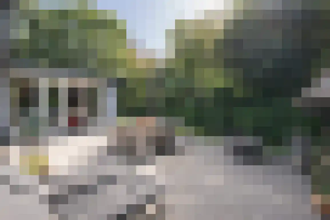 Poldersbos 8 Ouddorp thumbnail 32