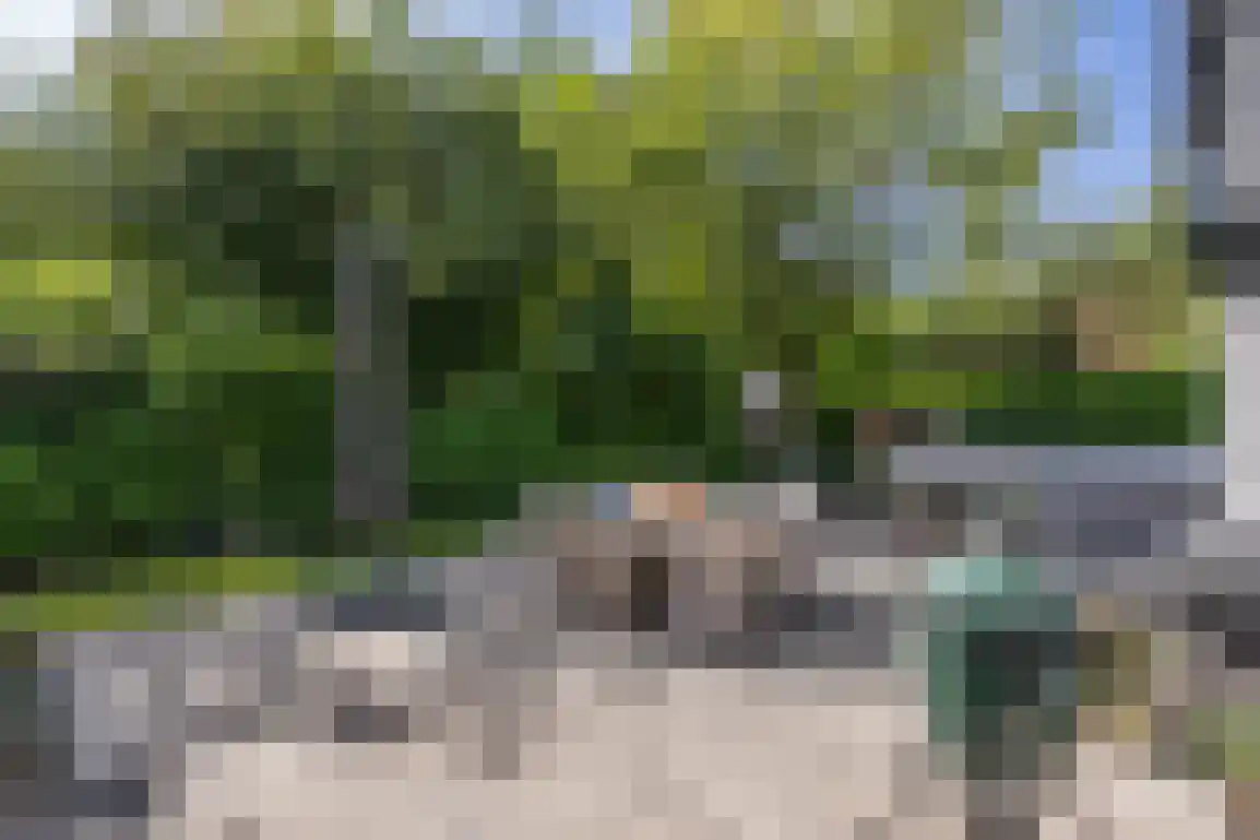 Poldersbos 8 Ouddorp thumbnail 34